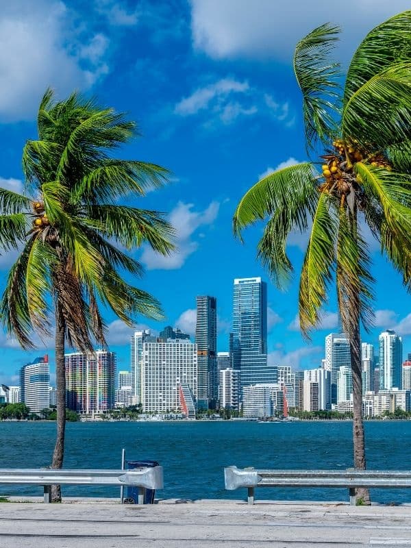 Our Miami Office